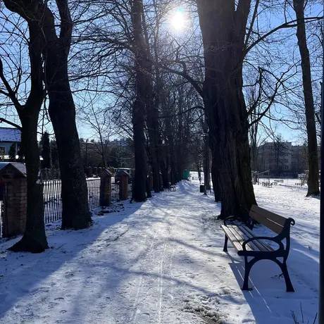Rewitalizacja parku przy ul. Wieniawskiego - fot 20