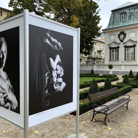 "Spotkania" - fotografie Tadeusza Poźniaka w ogrodzie Letniego Pałacu Lubomirskich - fot 10