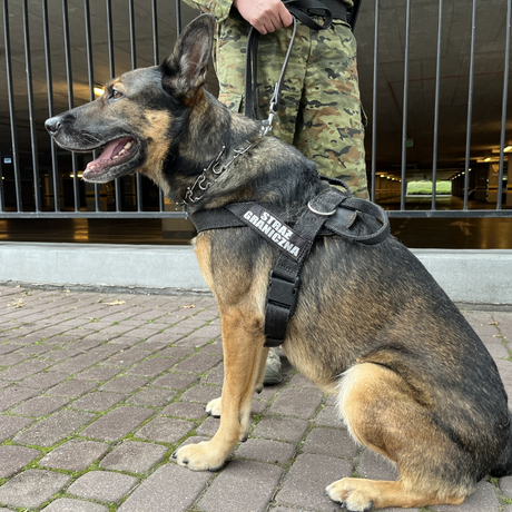 Święto Wojsk Obrony Terytorialnej w Rzeszowie - fot 13