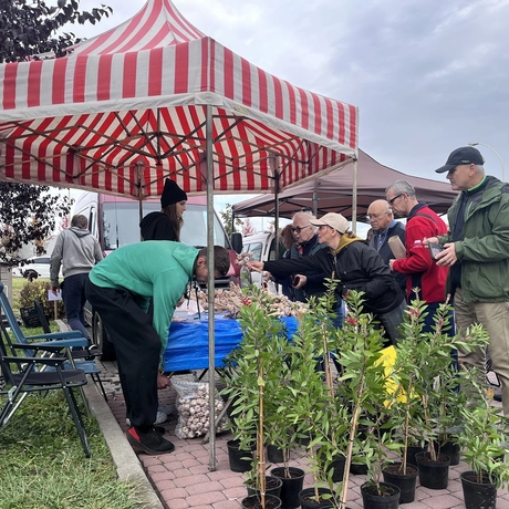Podkarpacki Bazarek w Parku Papieskim - fot 11