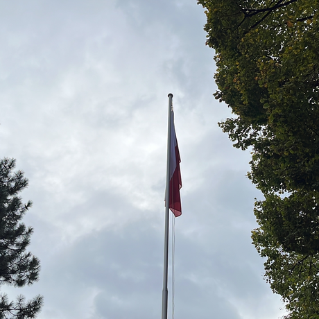 Święto Niepodległości w Rzeszowie - fot 8