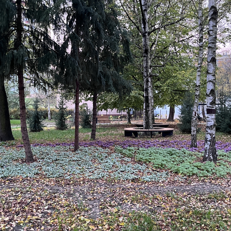 Park dla Seniora przy ul. Staszica w Rzeszowie - fot 15