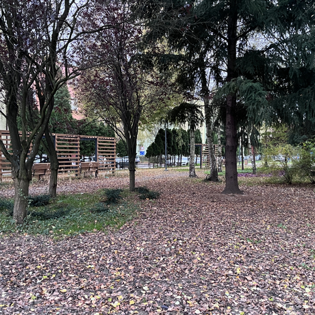 Park dla Seniora przy ul. Staszica w Rzeszowie - fot 12