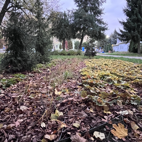 Park dla Seniora przy ul. Staszica w Rzeszowie - fot 4