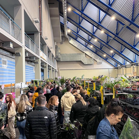 Wiosenna edycja Festiwalu Roślin w hali Podpromie - fot 6