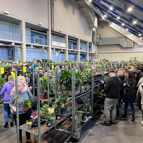Wiosenna edycja Festiwalu Roślin w hali Podpromie - fot 5