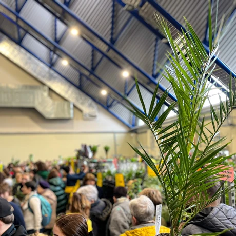 Wiosenna edycja Festiwalu Roślin w hali Podpromie - fot 20