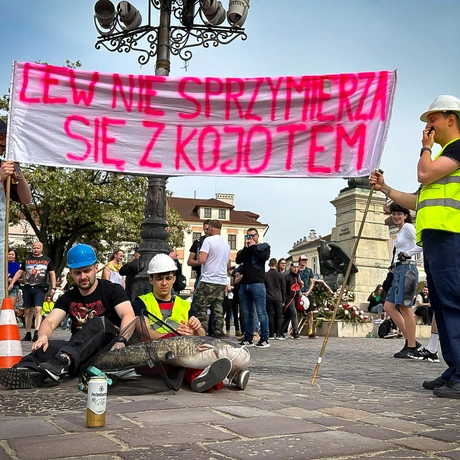 Rzeszów - 29. Rzeszowskie Juwenalia. Studencki korowód - fot 33