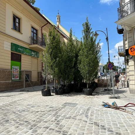 Rzeszów - Przebudowa ul. Grunwaldzkiej zbliża się do końca [Lipiec 2024] - fot 18