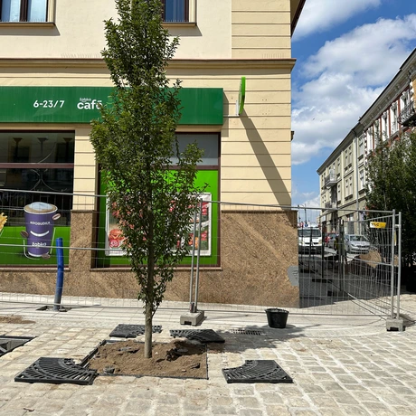 Rzeszów - Przebudowa ul. Grunwaldzkiej zbliża się do końca [Lipiec 2024] - fot 21