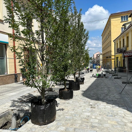 Rzeszów - Przebudowa ul. Grunwaldzkiej zbliża się do końca [Lipiec 2024] - fot 22