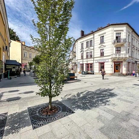 Rzeszów - Ulica Grunwaldzka po przebudowie [wrzesień 2024] - fot 16