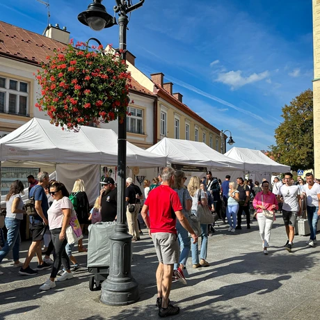 Rzeszów - Karpaty na Widelcu 2024 - fot 41