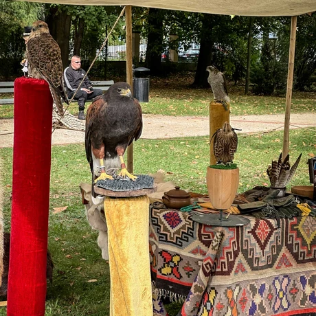 Rzeszów - Święto Parku w Muzeum-Zamku w Łańcucie - fot 17
