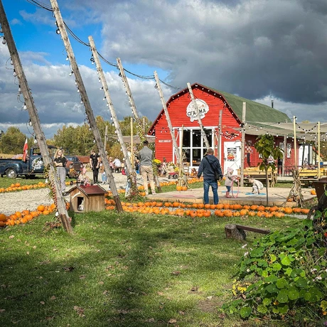 Rzeszów - Weekend na Farmie Rzeszowskiej - fot 17