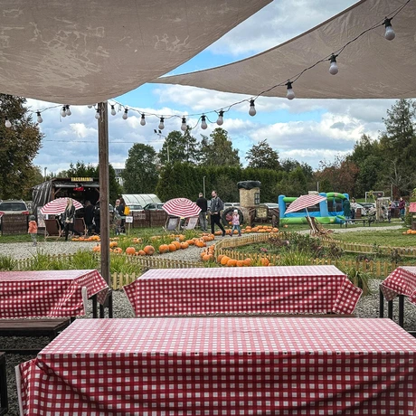 Rzeszów - Weekend na Farmie Rzeszowskiej - fot 34
