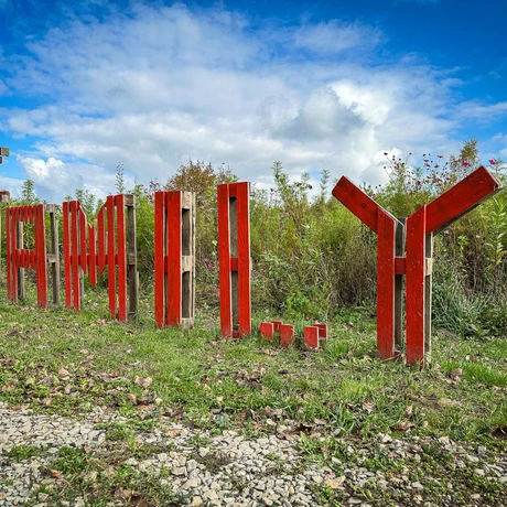 Rzeszów - Weekend na Farmie Rzeszowskiej - fot 61