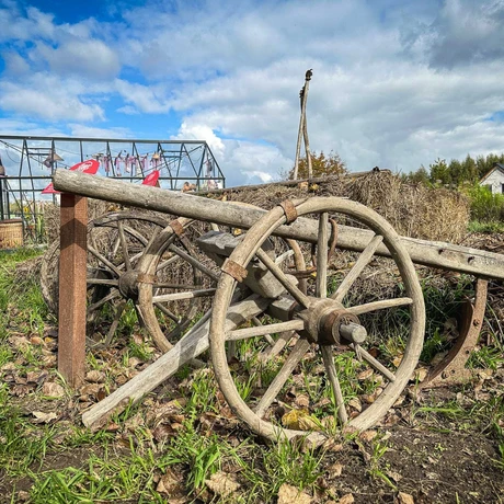 Rzeszów - Weekend na Farmie Rzeszowskiej - fot 77