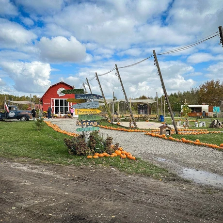 Rzeszów - Weekend na Farmie Rzeszowskiej - fot 41