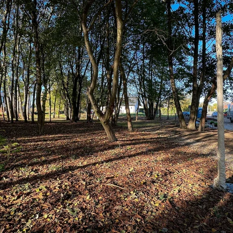 Rzeszów - Budowa ogrodu kieszonkowego w rejonie ul. Tarnowskiej na os. Baranówka [październik 2024] - fot 18