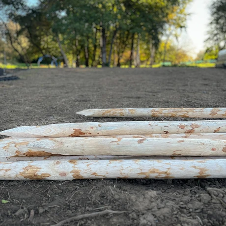 Rzeszów - Budowa ogrodu kieszonkowego w rejonie ul. Tarnowskiej na os. Baranówka [październik 2024] - fot 27