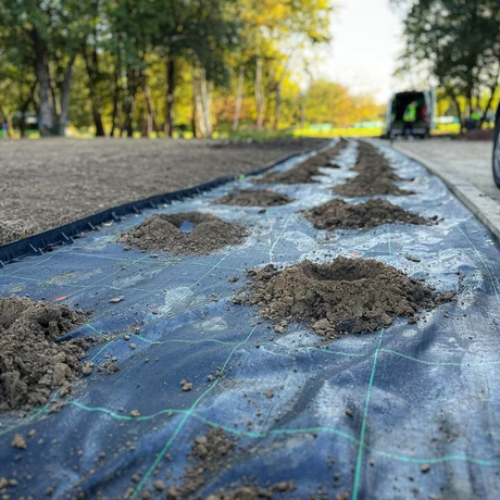 Rzeszów - Budowa ogrodu kieszonkowego w rejonie ul. Tarnowskiej na os. Baranówka [październik 2024] - fot 26