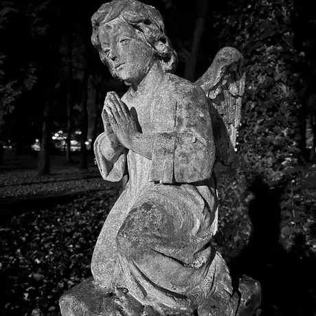 Rzeszów - Stary Cmentarz w Rzeszowie - fot 4