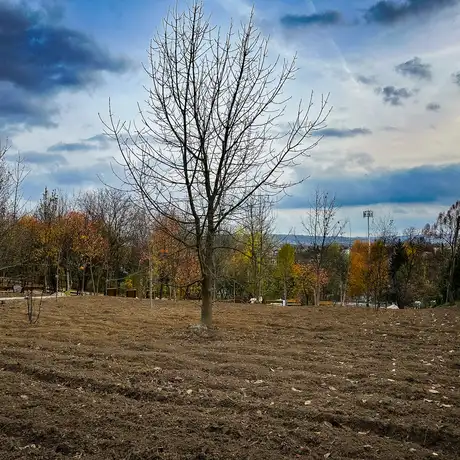 Rzeszów - Budowa ogrodu kieszonkowego na osiedlu Pobitno [październik 2024] - fot 7