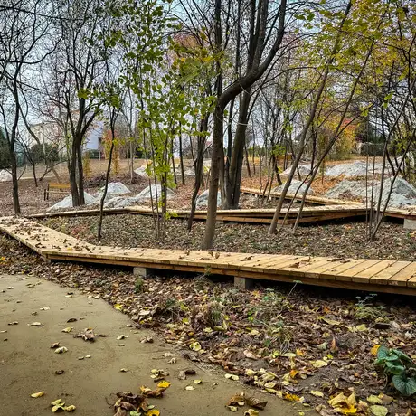Rzeszów - Budowa ogrodu kieszonkowego na osiedlu Pobitno [październik 2024] - fot 14