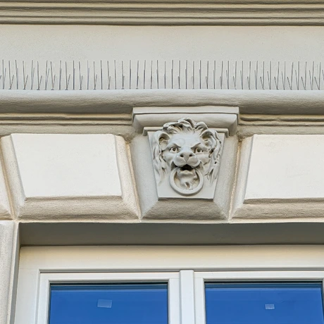 Rzeszów - Odnowiona kamienica przy ul. Piłsudskiego 5 w Rzeszowie - fot 6