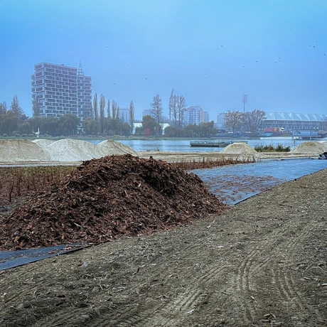 Rzeszów - Budowa miejskiej plaży nad Wisłokiem [listopad 2024] - fot 24