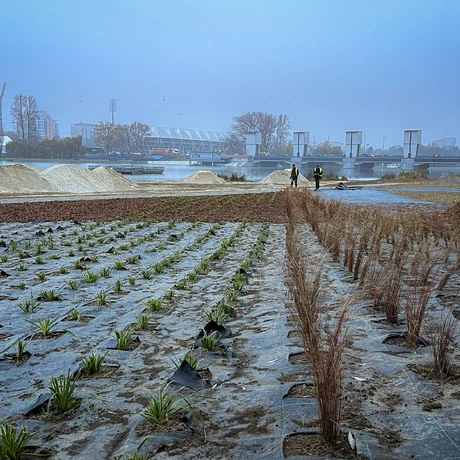 Rzeszów - Budowa miejskiej plaży nad Wisłokiem [listopad 2024] - fot 23