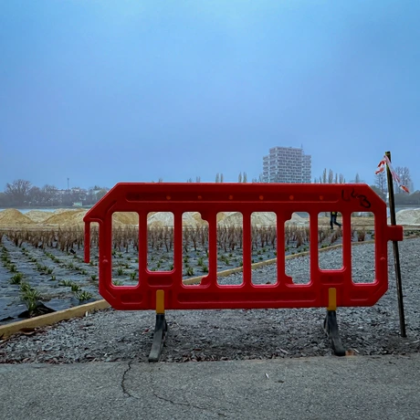 Rzeszów - Budowa miejskiej plaży nad Wisłokiem [listopad 2024] - fot 21