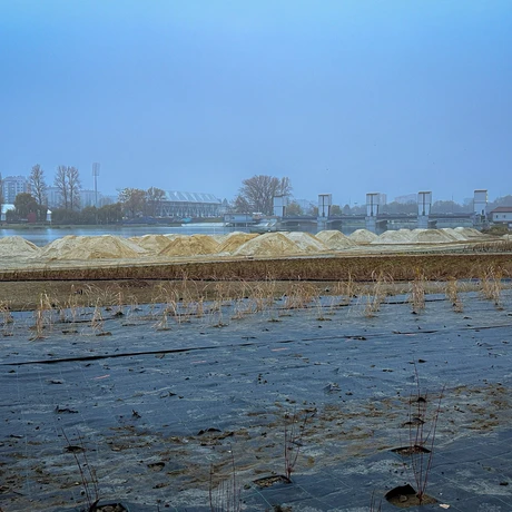 Rzeszów - Budowa miejskiej plaży nad Wisłokiem [listopad 2024] - fot 17