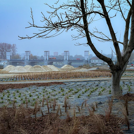 Rzeszów - Budowa miejskiej plaży nad Wisłokiem [listopad 2024] - fot 9