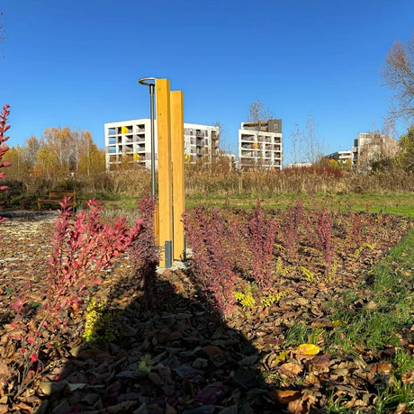 Rzeszów - Nowy ogród kieszonkowy w rejonie ul. Tarnowskiej [listopad 2024] - fot 13
