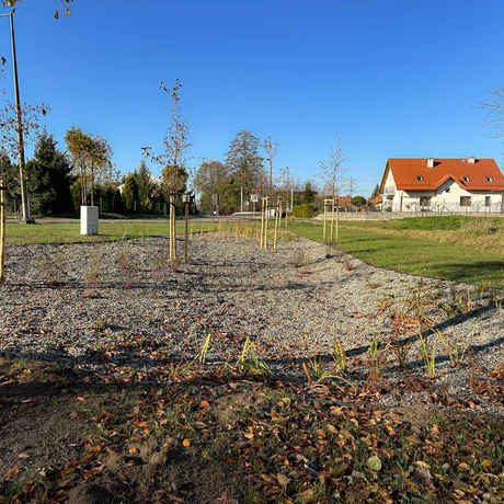 Rzeszów - Nowy ogród kieszonkowy w rejonie ul. Tarnowskiej [listopad 2024] - fot 21
