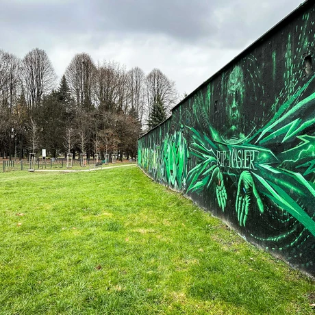 Rzeszów - Graffiti na garażach w Parku Zdrowia na osiedlu Kmity - fot 11