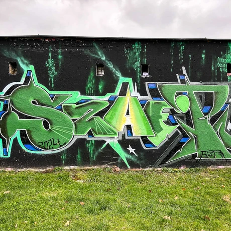 Rzeszów - Graffiti na garażach w Parku Zdrowia na osiedlu Kmity - fot 13