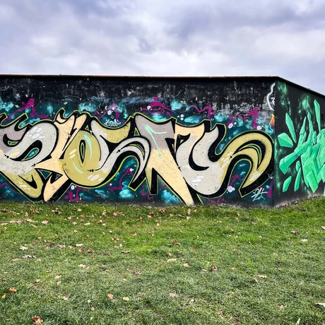 Rzeszów - Graffiti na garażach w Parku Zdrowia na osiedlu Kmity - fot 4