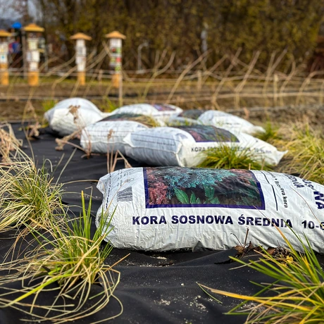 Rzeszów - Budowa ogrodu kieszonkowego na osiedlu Biała [grudzień 2024] - fot 19