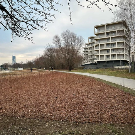 Rzeszów - Budowa miejskiej plaży nad Wisłokiem [grudzień 2024] - fot 8
