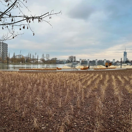 Rzeszów - Budowa miejskiej plaży nad Wisłokiem [grudzień 2024] - fot 16
