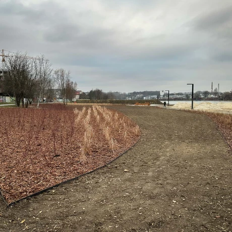 Rzeszów - Budowa miejskiej plaży nad Wisłokiem [grudzień 2024] - fot 18