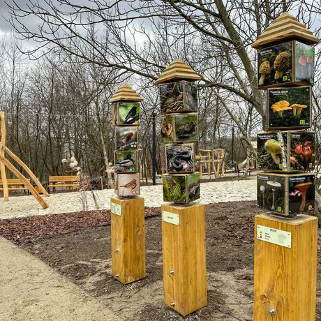 Rzeszów - Ogród kieszonkowy na osiedlu Pobitno [grudzień 2024] - fot 17