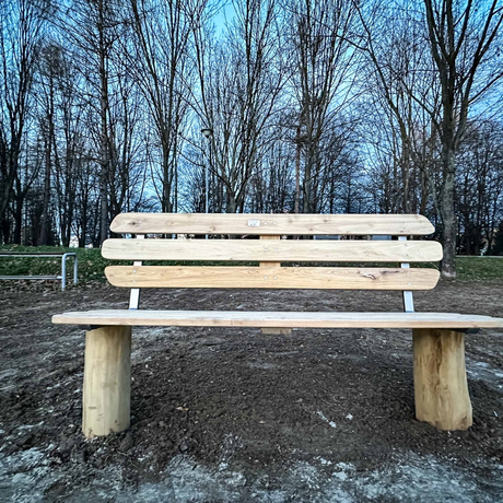 Rzeszów - Rewitalizacja części Parku Sybiraków [grudzień 2024] - fot 8