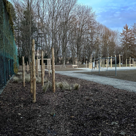 Rzeszów - Rewitalizacja części Parku Sybiraków [grudzień 2024] - fot 4