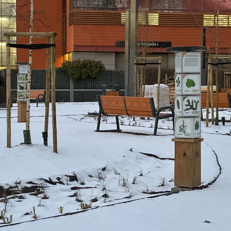 Rzeszów - Budowa ogrodu kieszonkowego na osiedlu Nowe Miasto [styczeń 2025] - fot 18