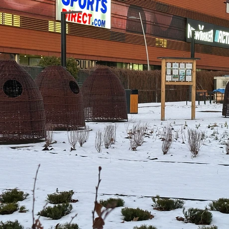 Rzeszów - Budowa ogrodu kieszonkowego na osiedlu Nowe Miasto [styczeń 2025] - fot 14
