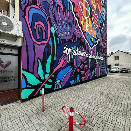 Rzeszów - Nowy mural przy ul. Dąbrowskiego 25 w Rzeszowie - fot 10